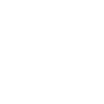11 - marfrig-100 pb